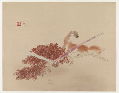 Seihôs Masterworks: النمس والدخن (طباعة كتلة خشبية ملونة) بواسطة تاكيوتشي سيهو